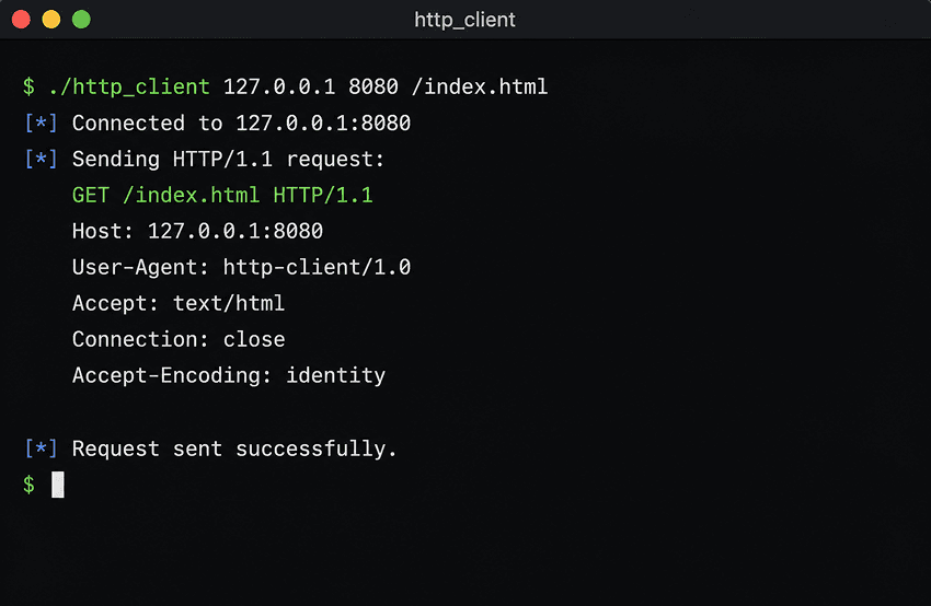 HTTP/1.1 From TCP interface preview